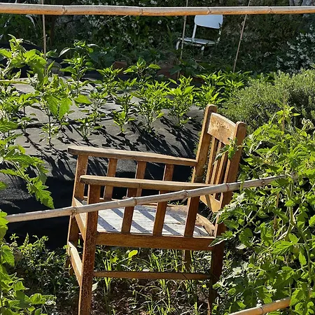 Dimora Storica Pasquale 4* Capri