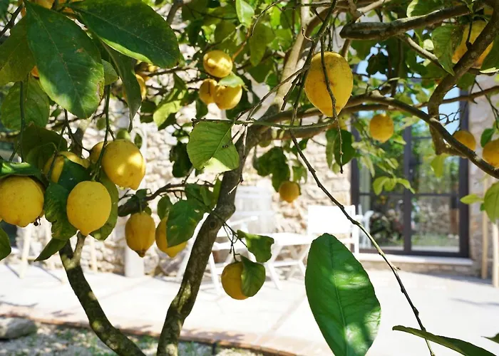 招待所 Dimora Storica Pasquale