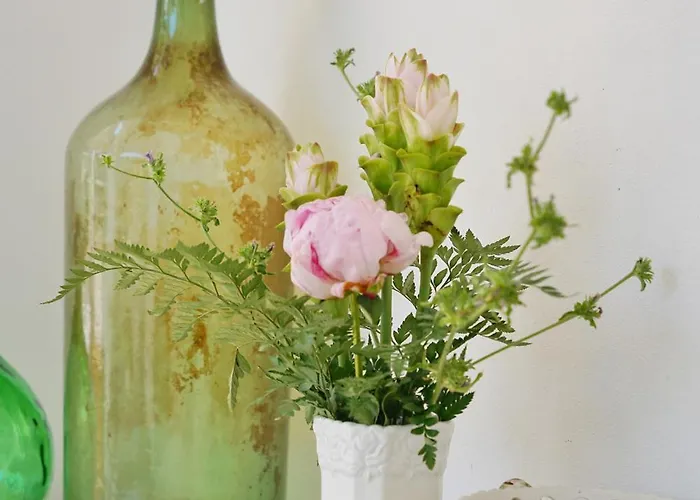 Dimora Storica Pasquale 卡普里