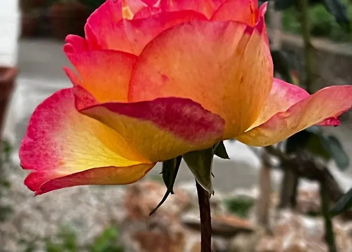 招待所 Dimora Storica Pasquale 4*