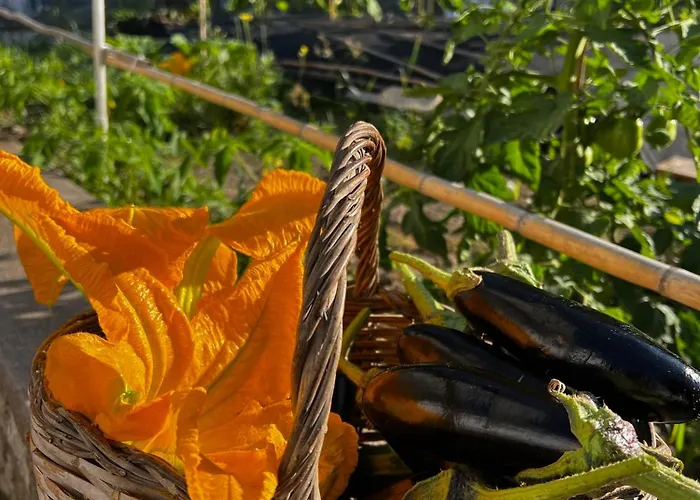 Dimora Storica Pasquale 卡普里