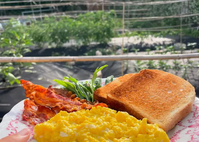 Dimora Storica Pasquale 4* 卡普里