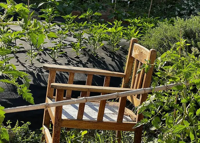 Dimora Storica Pasquale 4* 卡普里