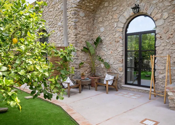 招待所 Dimora Storica Pasquale 卡普里